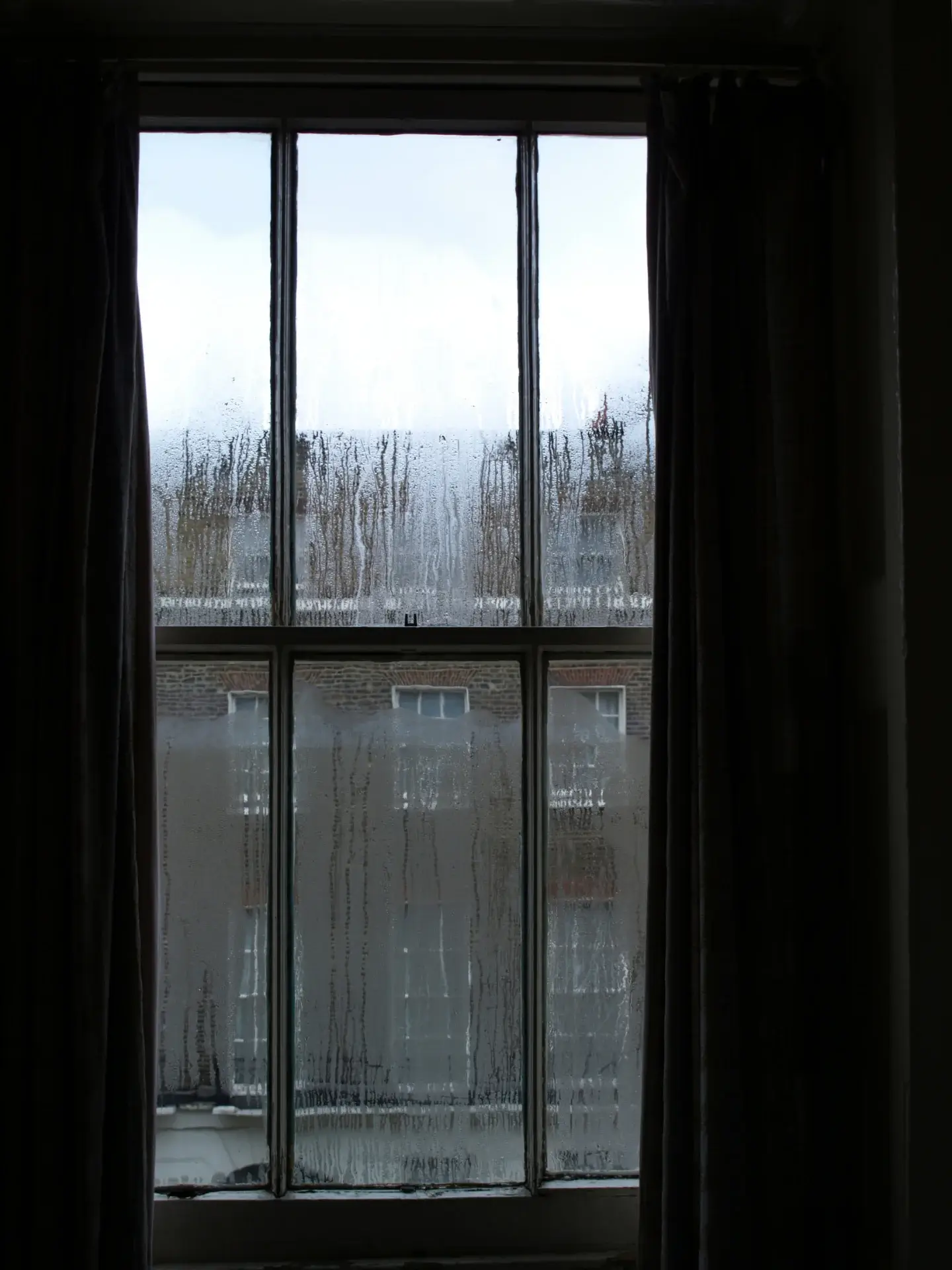 NEBBIA 29 Windows